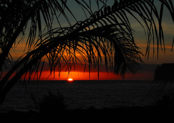 女团比赛中为什么感觉陈梦比不上搭档王曼昱？