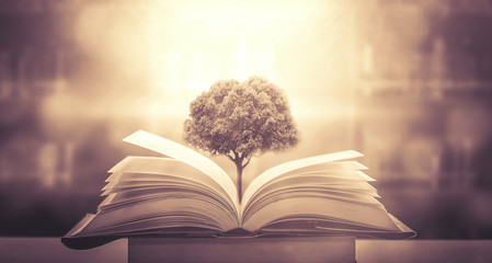 国产车拥有迈巴赫体验