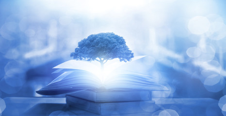 国产车可以媲美荣放