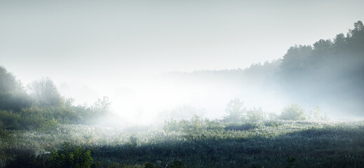 汽车标志唐是什么牌子？