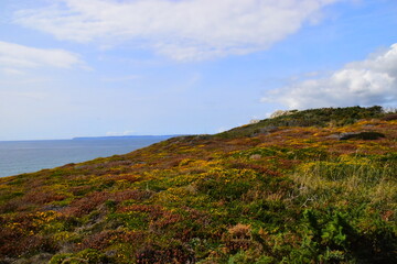 国产车销量排行榜