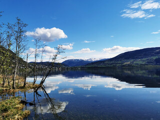 女团比赛中为什么感觉陈梦比不上搭档王曼昱？