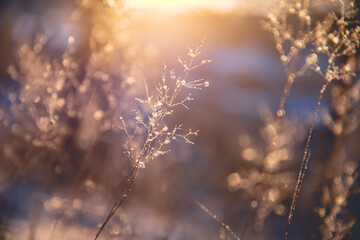 国产车可以媲美荣放