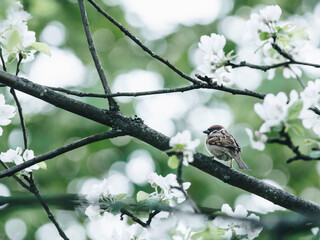 4出排气孔国产车