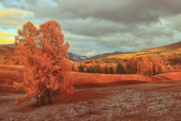 国产车可以媲美荣放