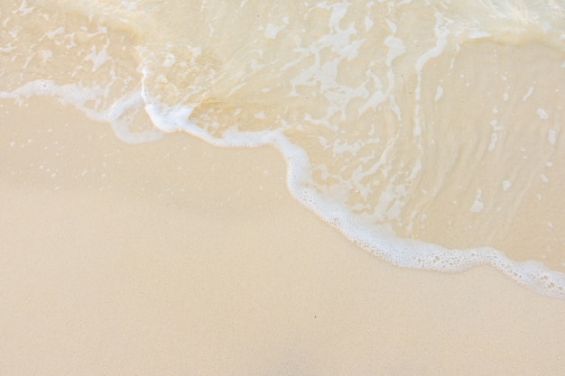 汽车标志唐是什么牌子？