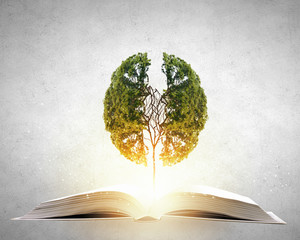 国产车的耐久性真的要比国外的车差吗？