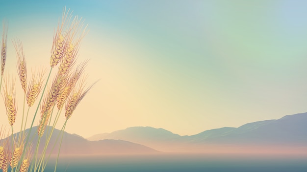 乒乓球球在对面可以触桌几次