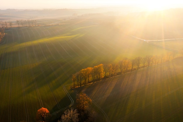 国产车可以媲美荣放